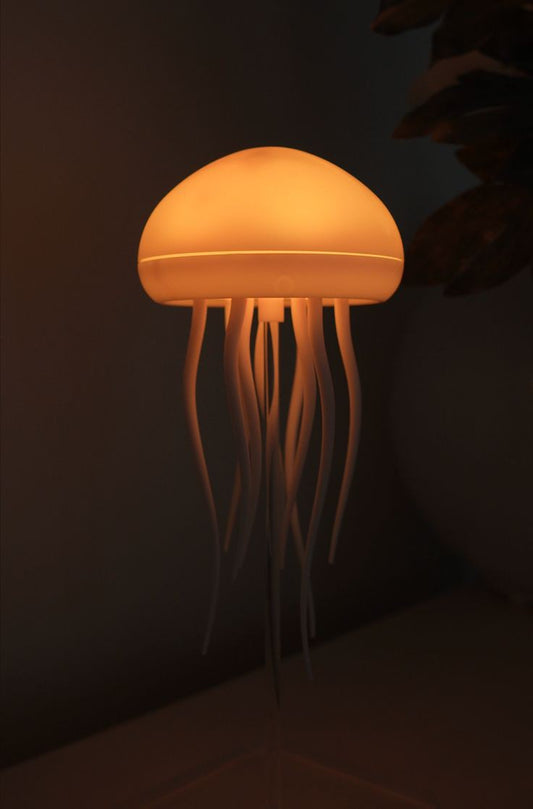 Jelly Lamp